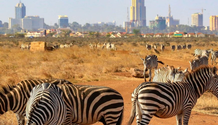 Kenya_Nairobi_National park